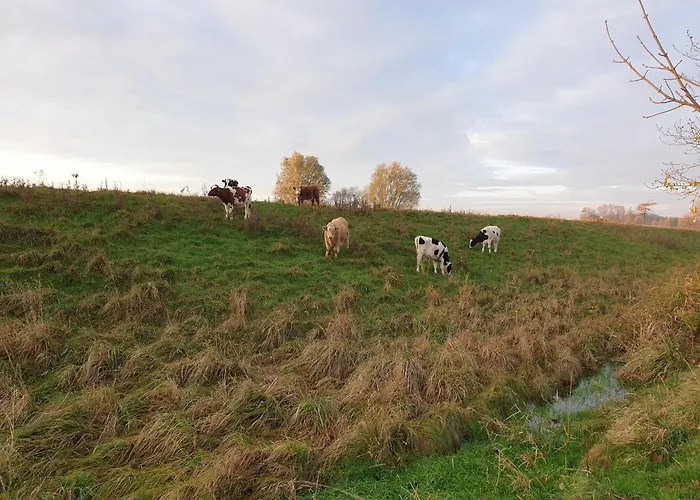 Ferienwohnung Elbkoje
